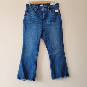 Loft Ann Taylor curvy high waist flare crop nwt 34 or 18 plus